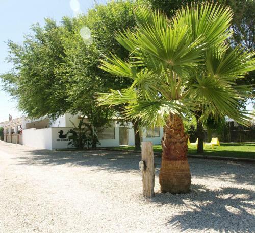 Apartamento Bedandbeach