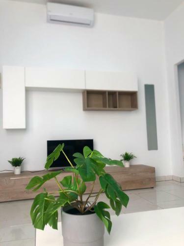 Ocean View Superior V - 2 Bedroom Apartment