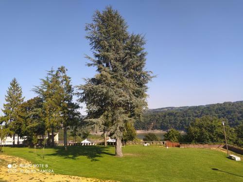 Hostal Huellas Albergue-tur�stico