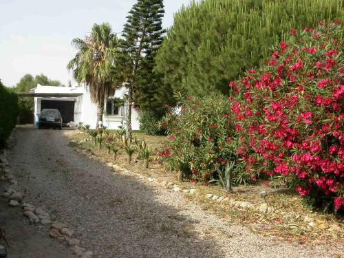 Villa Malyma Zahora - Beach Front 10,000m2 Botanic Garden