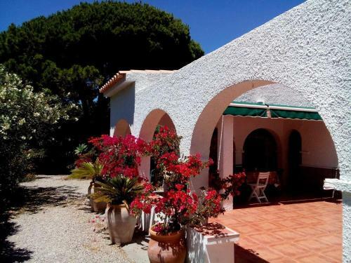 Villa Malyma Zahora - Beach Front 10,000m2 Botanic Garden