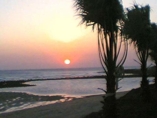 Villa Malyma Zahora - Beach Front 10,000m2 Botanic Garden