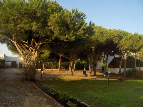 Villa Malyma Zahora - Beach Front 10,000m2 Botanic Garden