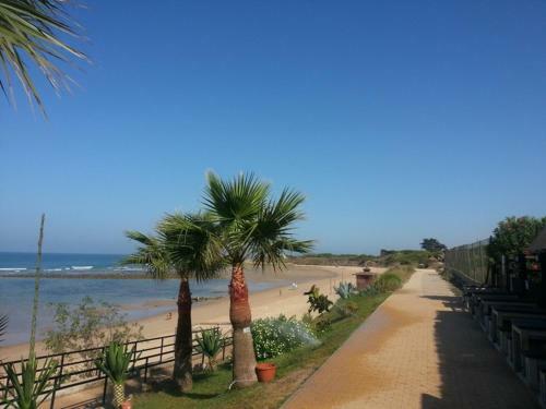 Villa Malyma Zahora - Beach Front 10,000m2 Botanic Garden