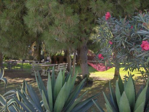 Villa Malyma Zahora - Beach Front 10,000m2 Botanic Garden