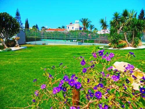 Apartamento Coral Bay Suite