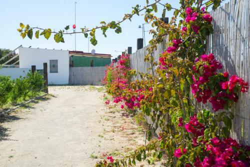 Agroturismo Casara Siete