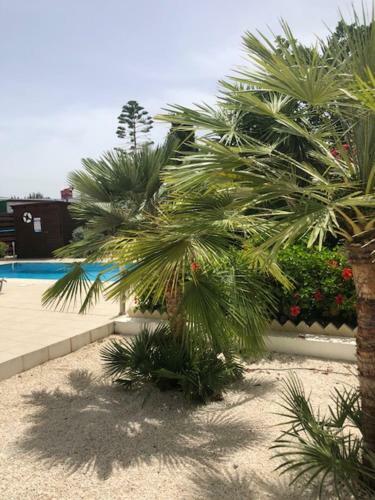 Villa Olivia, Coral Bay