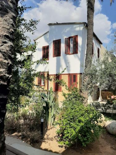 Bed & Breakfast Palm Garden Guest House