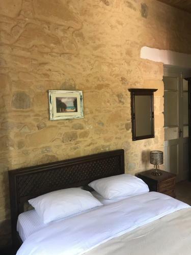 Bed & Breakfast Palm Garden Guest House