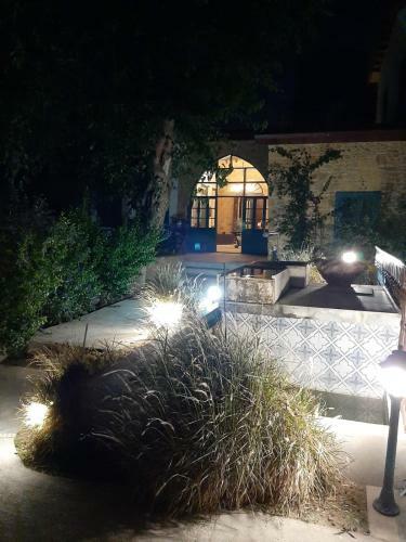 Bed & Breakfast Palm Garden Guest House