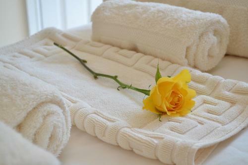 Hostal White Rose Guest House