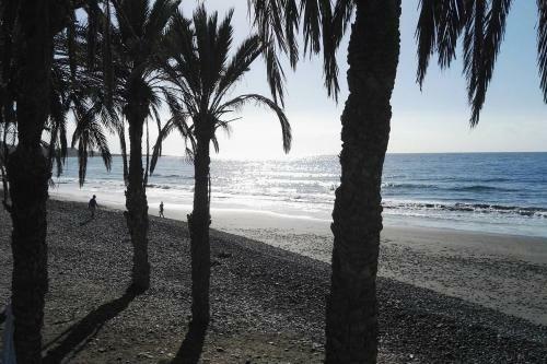 Sun Club Apartment On The Beach #4