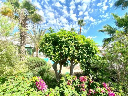 Cozy Apartment Wifi, Swimming Pool, Direct Access To The Beach