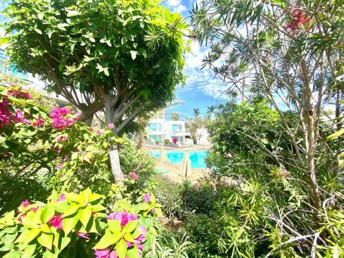 Cozy Apartment Wifi, Swimming Pool, Direct Access To The Beach
