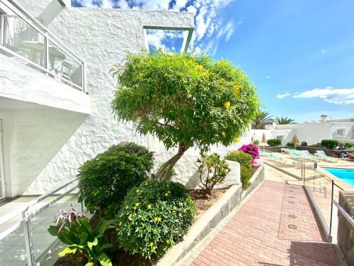 Cozy Apartment Wifi, Swimming Pool, Direct Access To The Beach