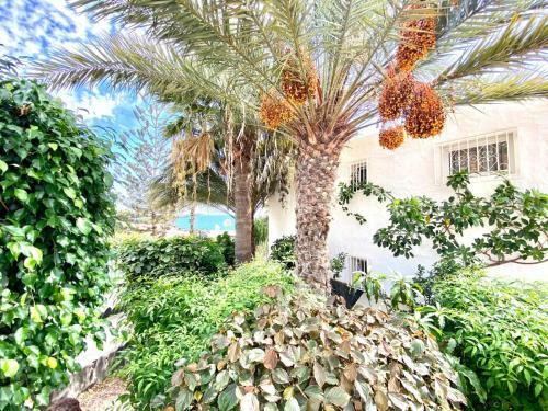 Cozy Apartment Wifi, Swimming Pool, Direct Access To The Beach