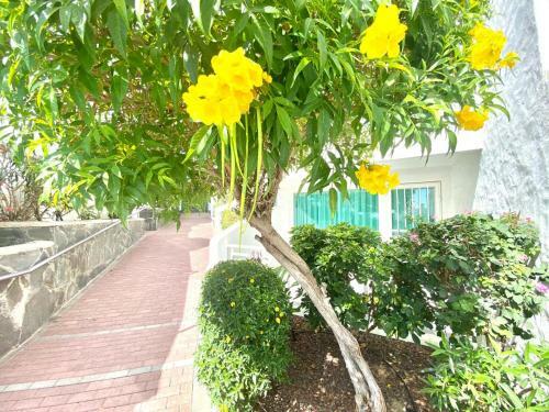 Cozy Apartment Wifi, Swimming Pool, Direct Access To The Beach