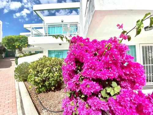 Cozy Apartment Wifi, Swimming Pool, Direct Access To The Beach