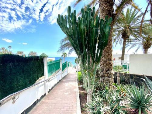 Cozy Apartment Wifi, Swimming Pool, Direct Access To The Beach