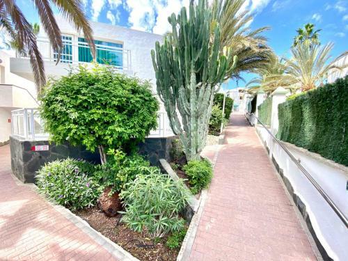 Cozy Apartment Wifi, Swimming Pool, Direct Access To The Beach