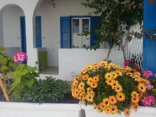 Apartamento Studios Prevena