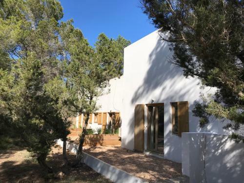 Villa Feliz Lagartija