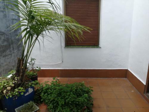 Hostal Elguero Sestao Trapagaran