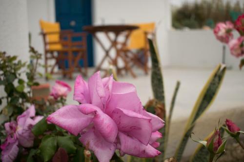 Apartamento Onar Studios Milos Junior