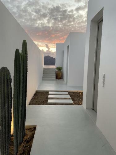 Theia Villa