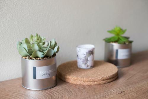 Apartm�n U Horyn? Ii.