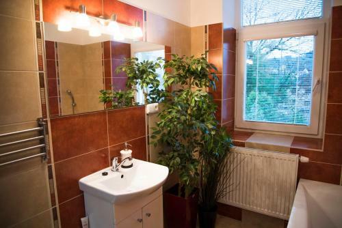 Apartm�n U Horyn?