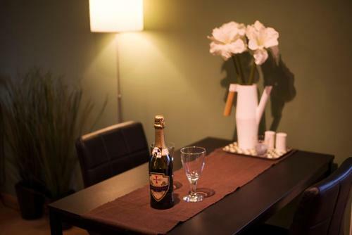 Apartm�n U Horyn?