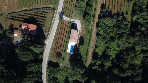 Villa Luka