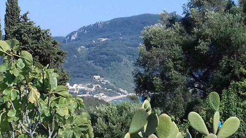 Nikolas House Afionas Corfu