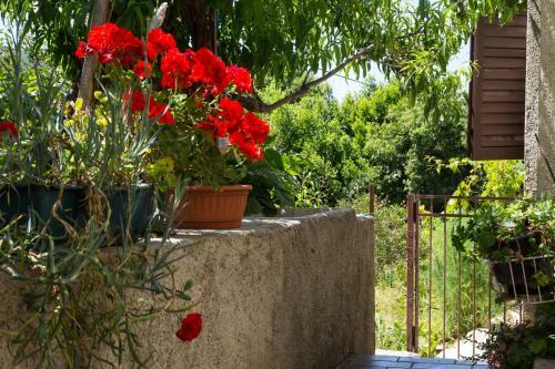 Apartman Corino