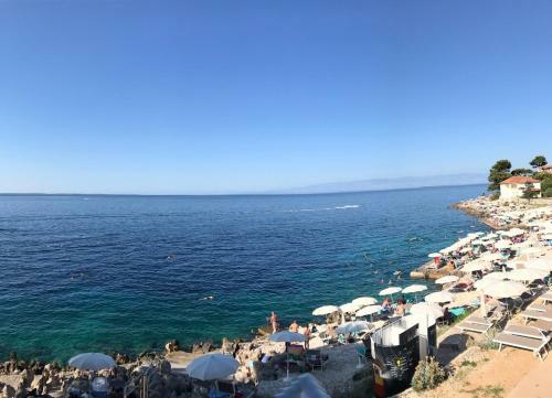 Apartmaji Punta