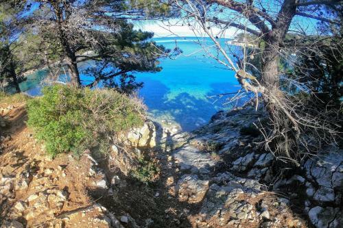 Amaryllis Residence, Apartment Diana