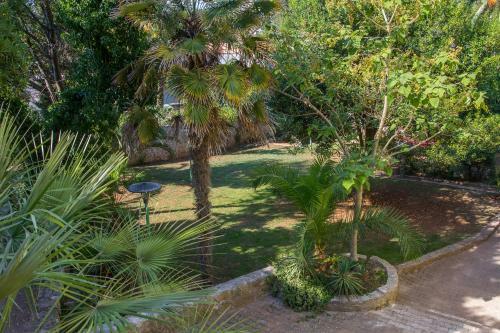 Apartamentos Bigblue House