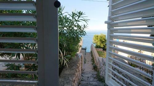 Apartmani Antonieta****