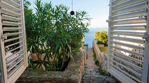 Apartmani Antonieta****