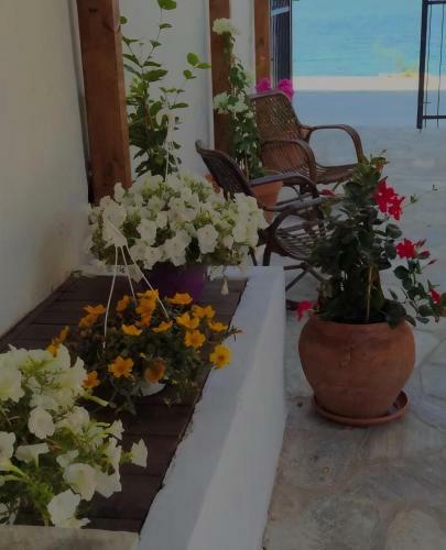 Apartamento Grand Boutique Studios