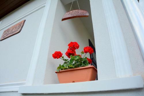 Apartamento T�li Berek Vend�gh�z