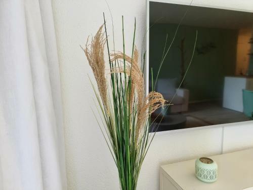 Apartamento Strandh�sli Directly On Lake Thun