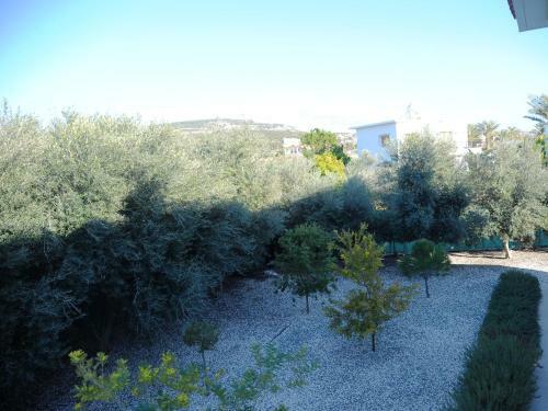 Luxury 6 Bedroom Villa With Privet Pool In Paphos