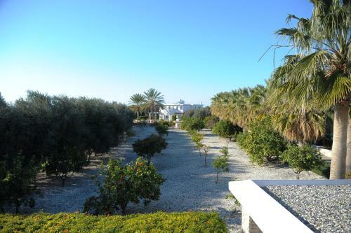 Luxury 6 Bedroom Villa With Privet Pool In Paphos