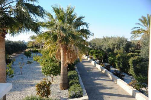Luxury 6 Bedroom Villa With Privet Pool In Paphos