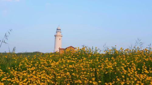 Dahan Sirena Lighthouse Luxury Apartment