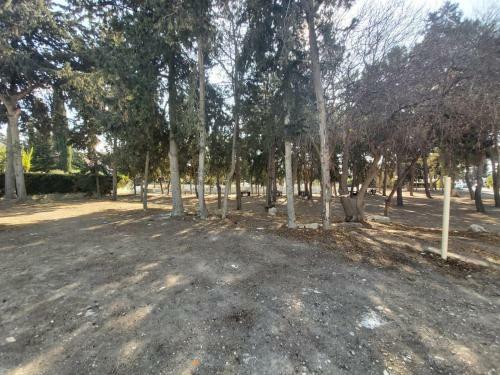Apartamento Anthea Court