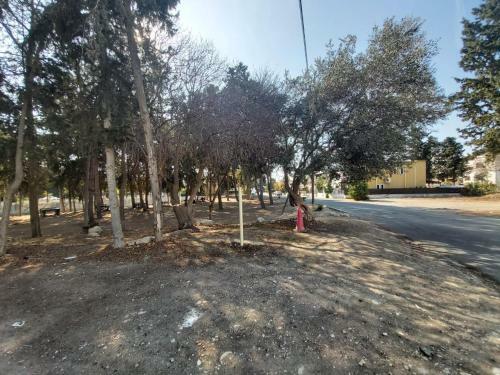 Apartamento Anthea Court